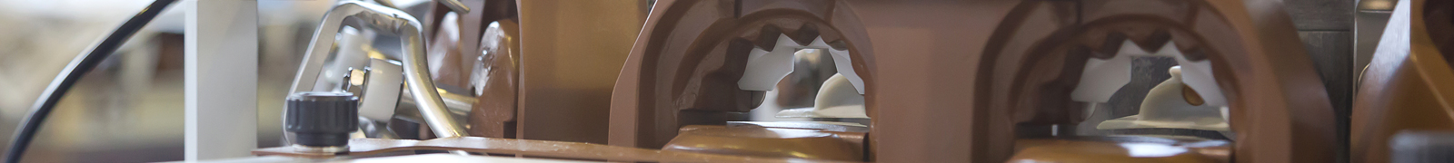 Fully Automated Gyoza Dumpling Machine